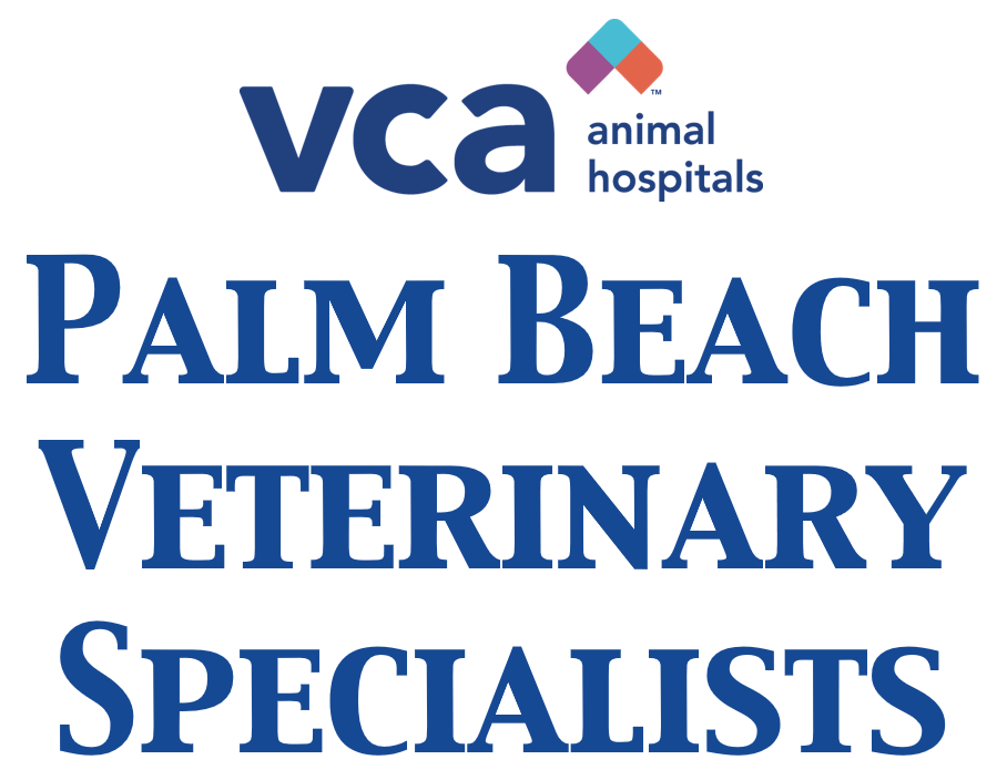 VCA Palm Beach Vet Specialists
